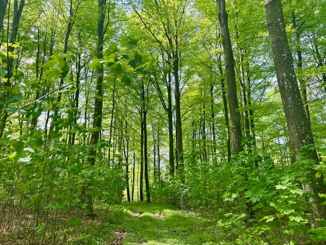 Bredemistevej 3, Svindinge, 5853 Ørbæk